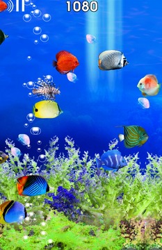 Fish Tour游戲截圖3