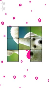 My Little Dog Kids Puzzle游戲截圖4