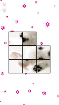 My Little Dog Kids Puzzle游戲截圖3