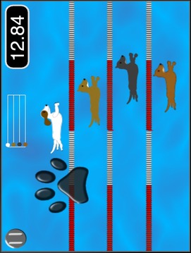 小狗桨比赛( Pad版)游戏截图1