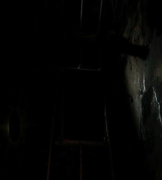 Five Nights in Thrill游戲截圖1