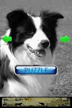 可爱小狗拼图游戏截图2