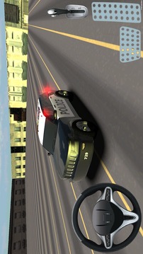 警车停车3D游戏截图4