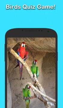 鳥剪影游戲截圖4