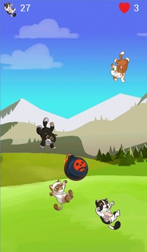 Kitten Catch游戲截圖2