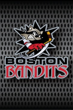Boston Bandits Hockey游戲截圖2