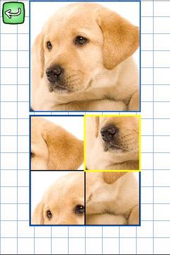 Spanish & Puzzles: Animals游戲截圖3