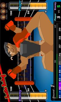 Excite Boxing游戲截圖2