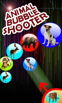 Angry Animal Bubble Shooter游戲截圖5
