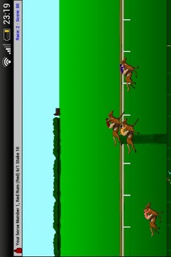 Steeplechase Horse Racing游戲截圖1