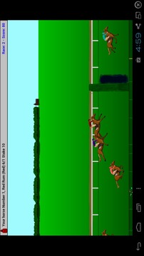 Steeplechase Horse Racing游戲截圖4