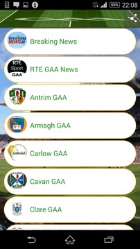 GAA 32 Counties游戲截圖4