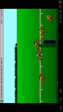 Steeplechase Horse Racing游戲截圖5