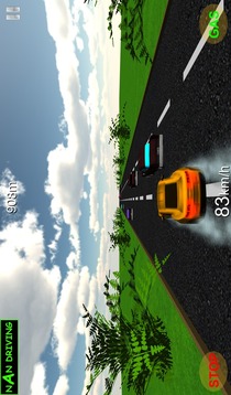 NaN Driving游戲截圖2