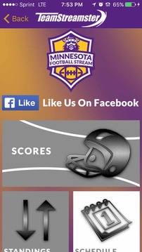 Minnesota Football STREAM游戲截圖2