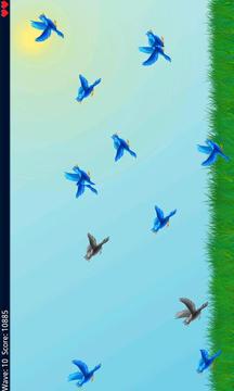 Shoot The Bird游戲截圖5