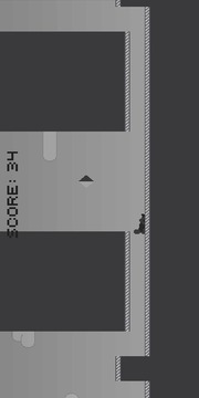 Shadow Runner游戏截图4