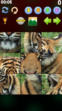 Mori Picture Puzzle游戲截圖2