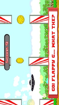 Animal Run: Flapping Frenzy!游戲截圖3