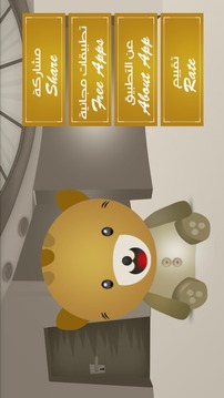 Talking Lovely Kitty for girls游戲截圖5