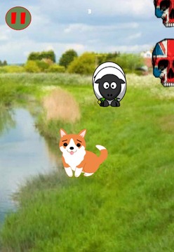 Willie The Welsh Corgi游戲截圖2