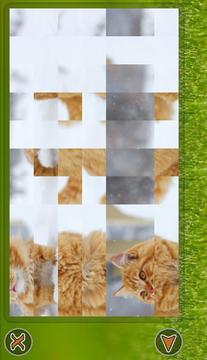 Cats Puzzle游戲截圖5
