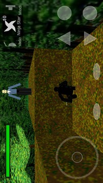 3D Ninja Game游戲截圖1