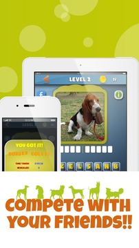 DogdomDogs guess the dog FREE游戲截圖2