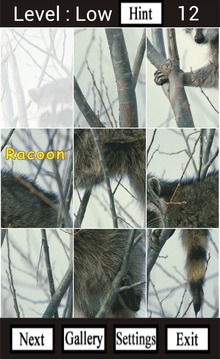 Wild Animals of North America游戲截圖5