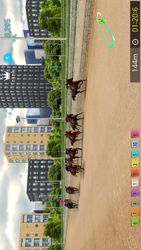 Pick Horse Racing游戲截圖2