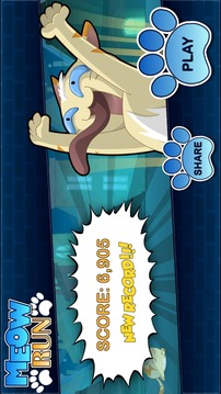 Meow Run游戲截圖3