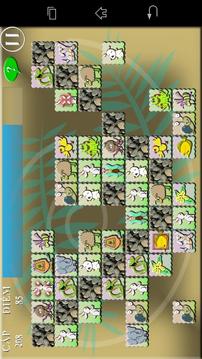 pet match ( link )游戲截圖4