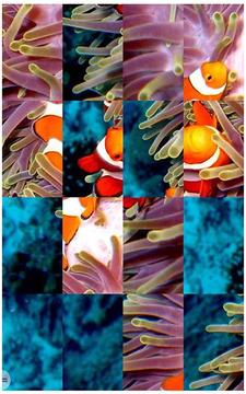 Tile Puzzle - Ocean Life游戲截圖4