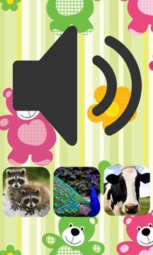 Animal Sound Quiz Game游戲截圖3