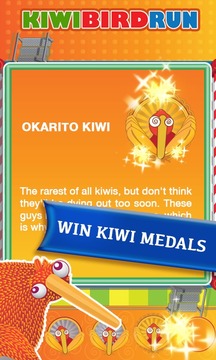 Kiwi Bird Run - Birds Unite!游戲截圖4