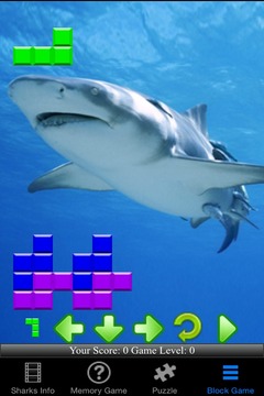 Shark Revenge Attack游戲截圖4
