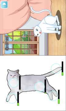 Cat Grooming游戲截圖2