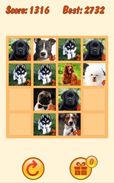 20 48 Dogs Puzzle with mPOINTS游戏截图2