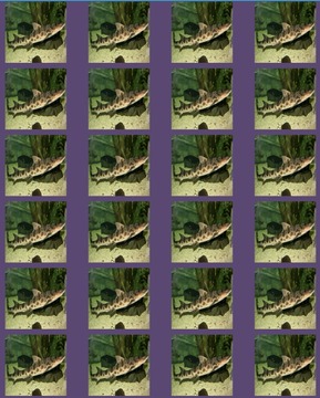 Shark Hunter Memory Game游戲截圖2