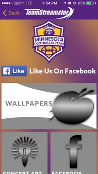 Minnesota Football STREAM游戲截圖5