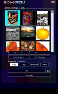 Sliding Puzzle BSG游戲截圖2