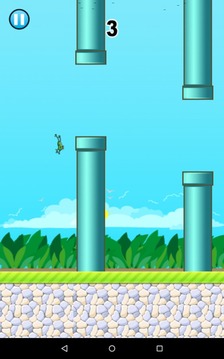 Leaping Frogs Skin游戲截圖3