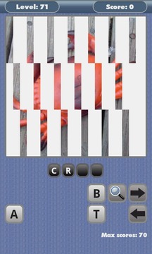 1 Pic 1 Word游戲截圖2