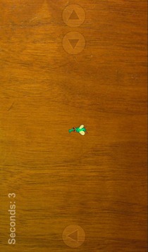 Fly Before You Die游戲截圖2