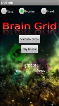 Brain Grid Free游戲截圖1