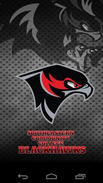Blackhawks游戲截圖1