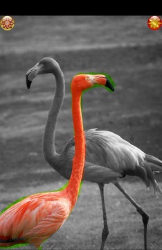 Color Animals 4 Doodle Scratch游戲截圖4