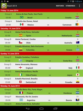 Brazil World Cup 2014游戏截图4