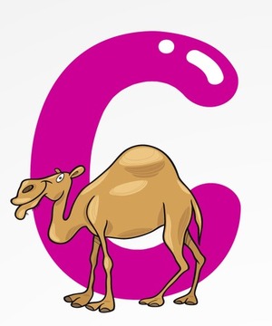 Best Animal Alphabet Kids游戲截圖3