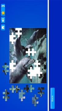 Dolphin Puzzles游戲截圖3